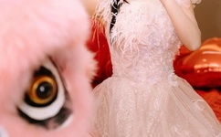 美国人物动物交互网站下载